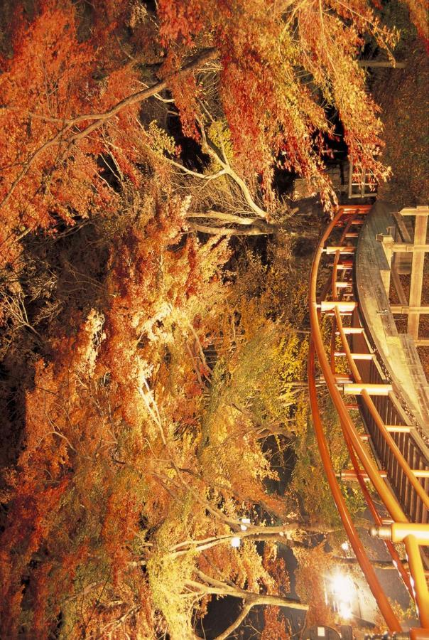 Shinki Hotel Shibukawa Exterior photo